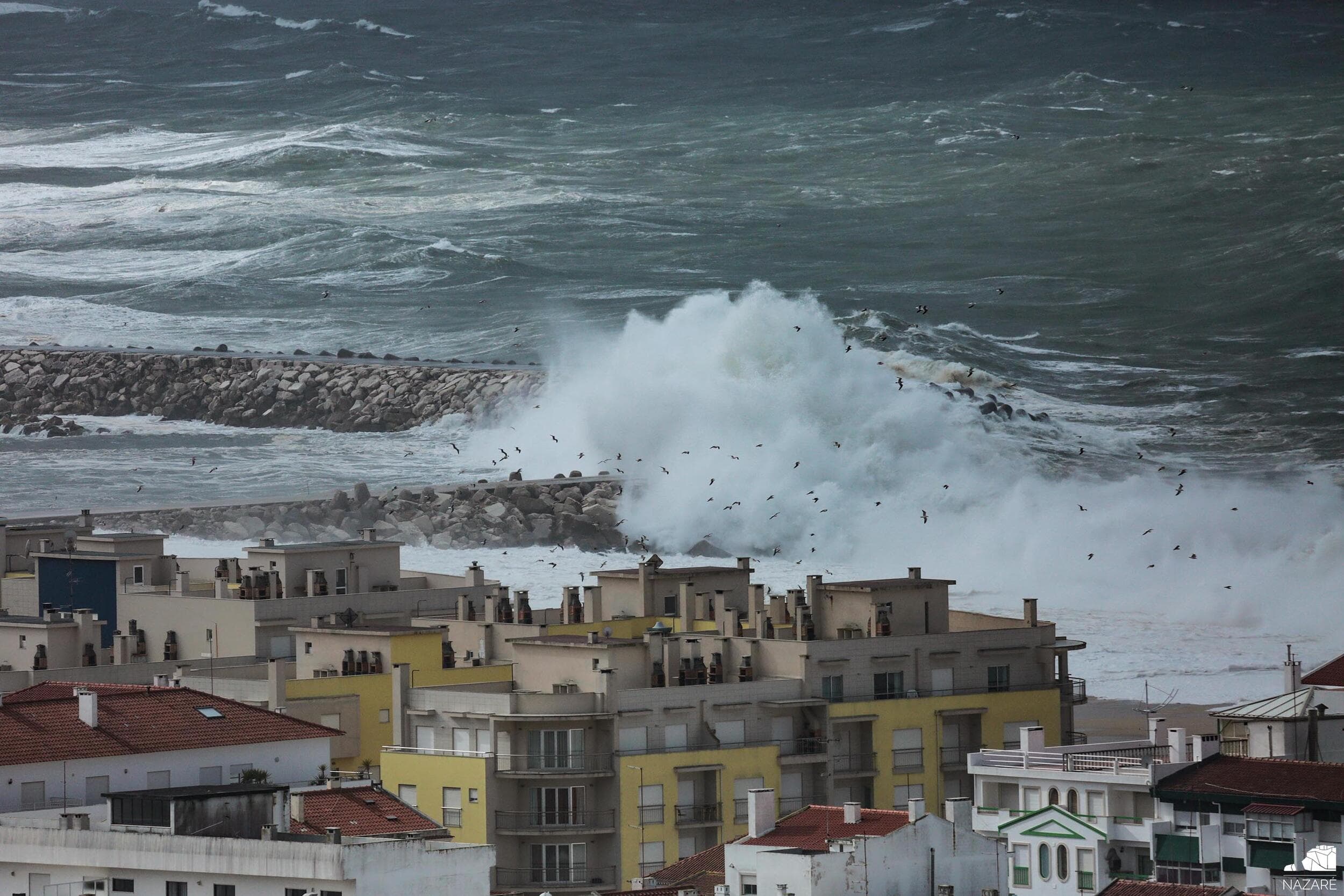 Nazaré @CMN