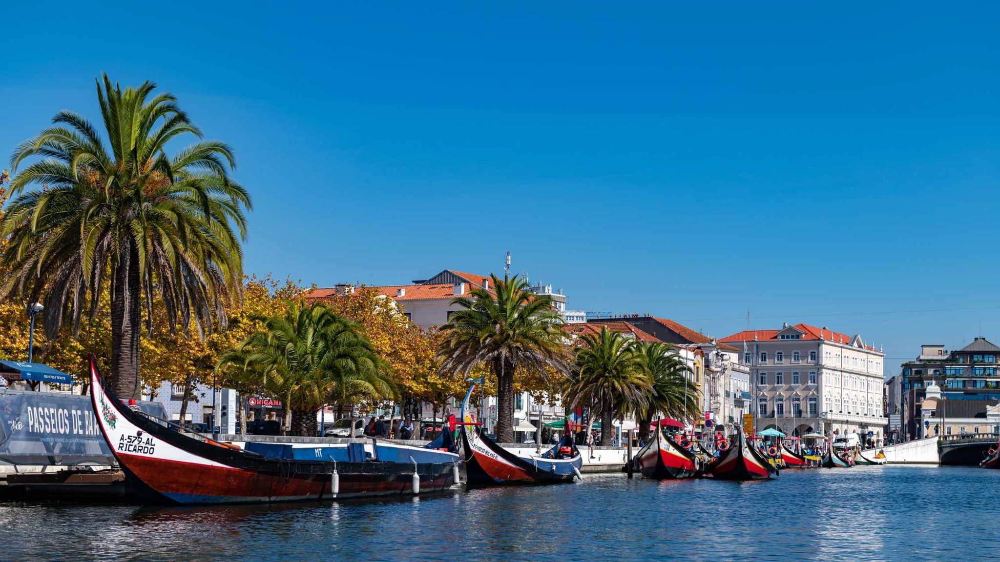 Canal Aveiro @Envato