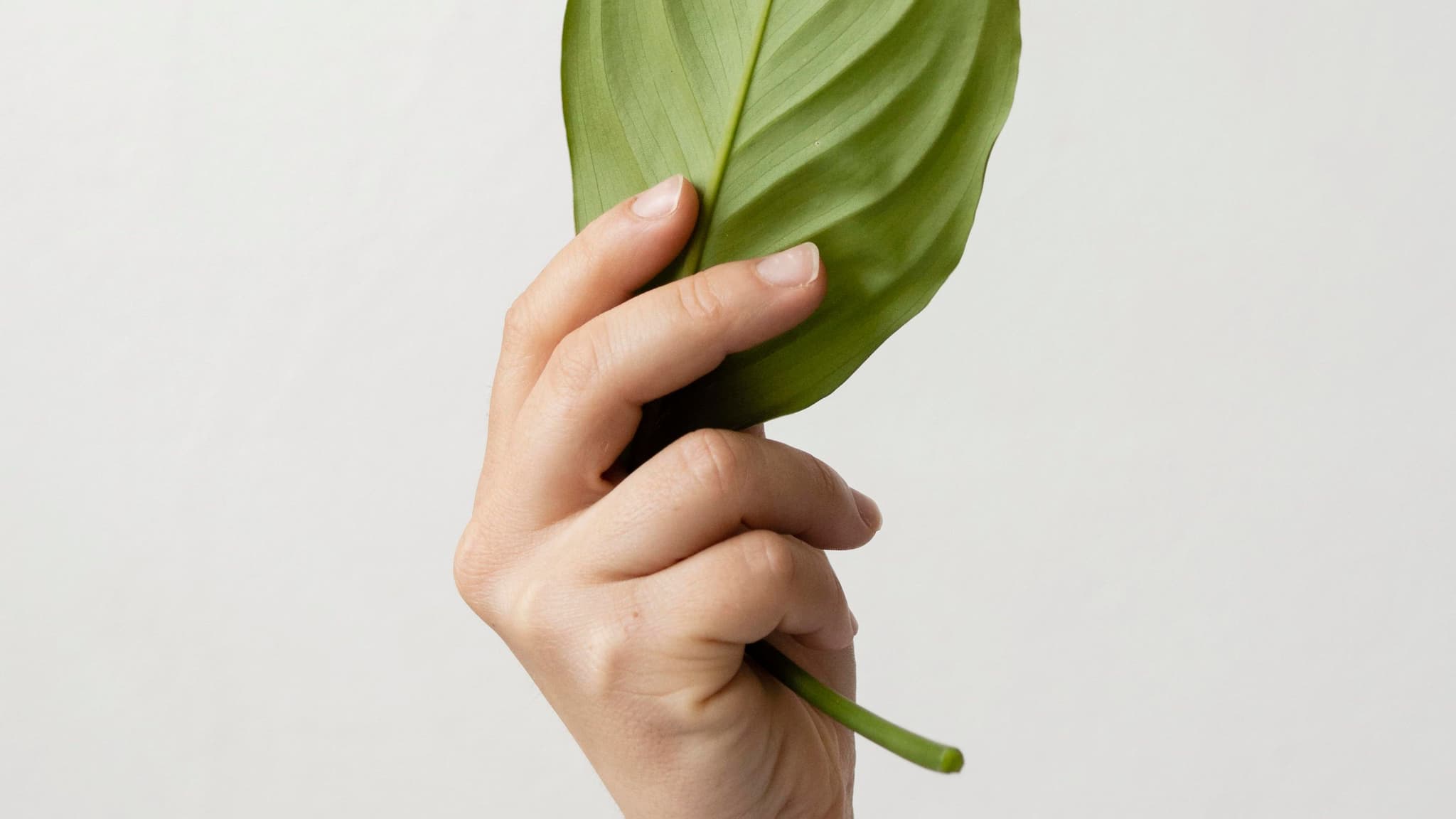Sustentabilidade @freepik