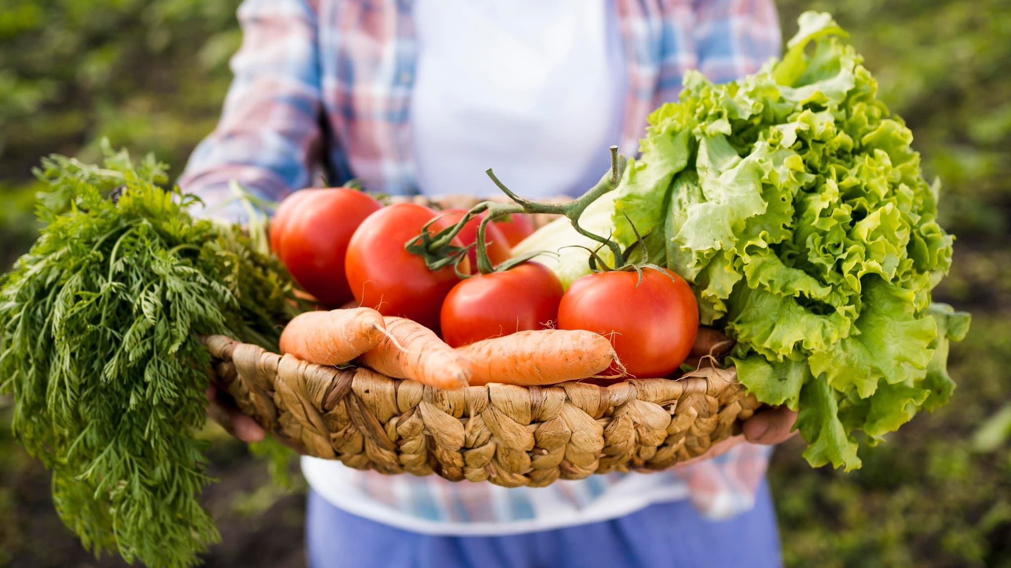 Agricultura @freepik
