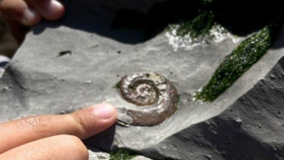 Património Geológico em São Pedro de Moel @CMMG