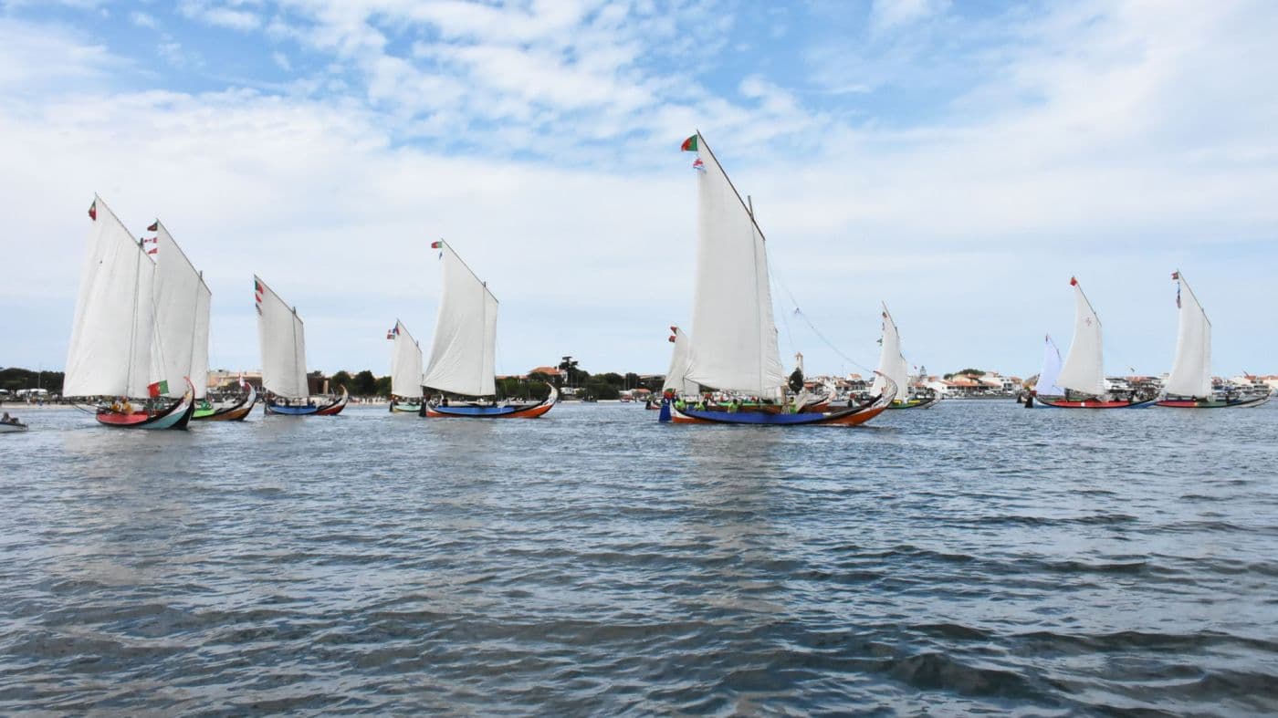 Regata dos Moliceiros Torreira ©CMM