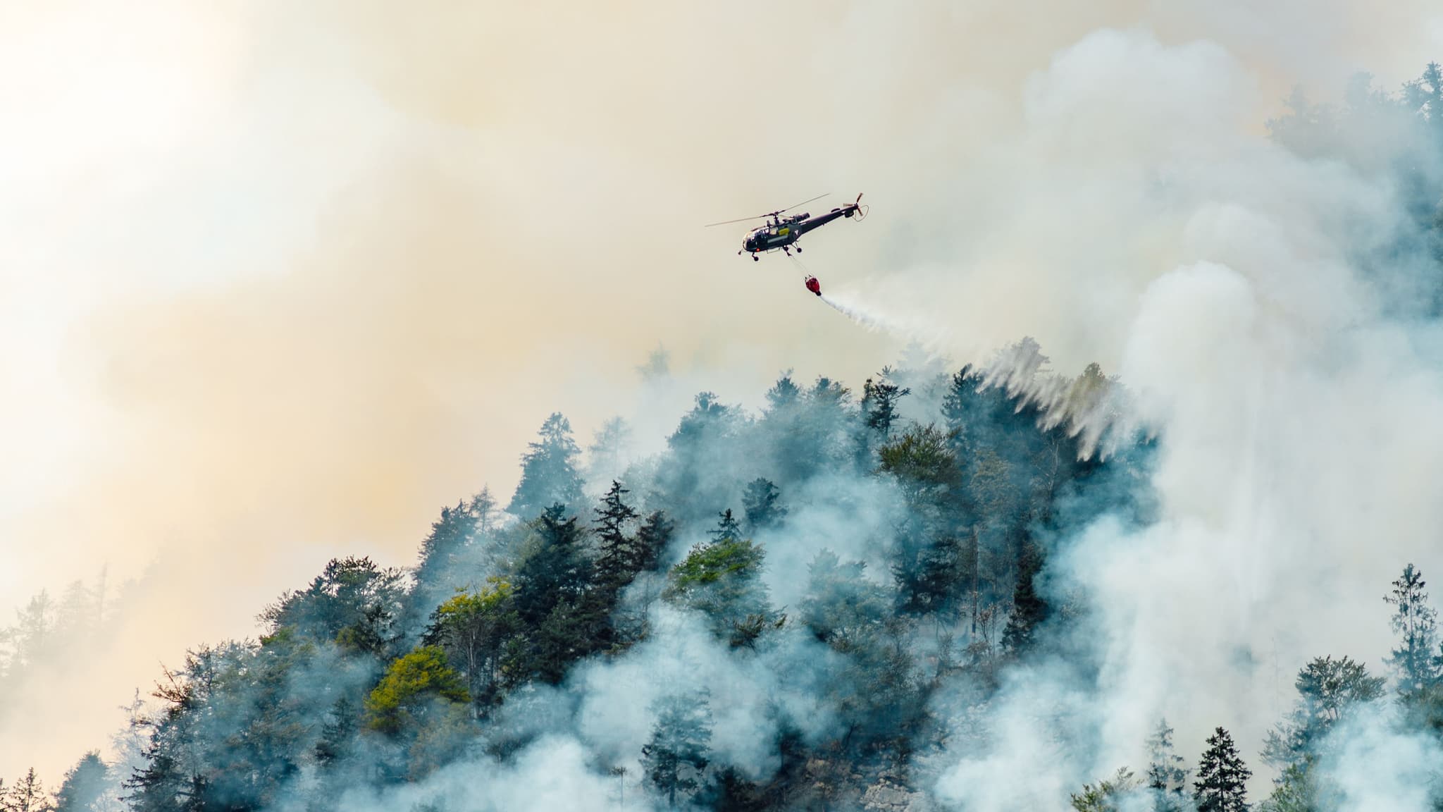 Helicóptero de combate a incêndios @Envato