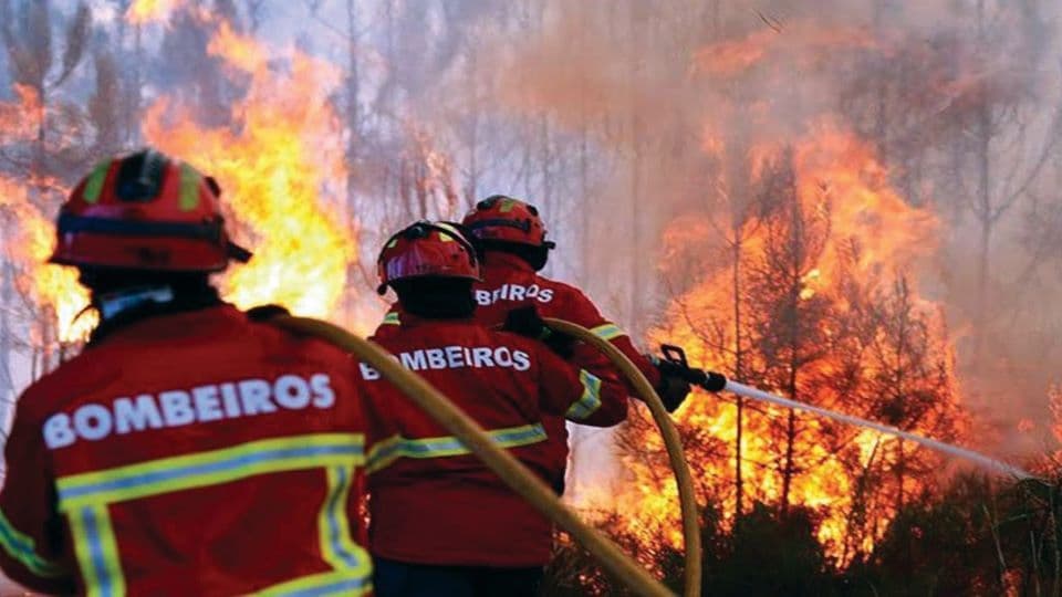 Incêndios Florestais @Liga dos Bombeiros Portugueses 