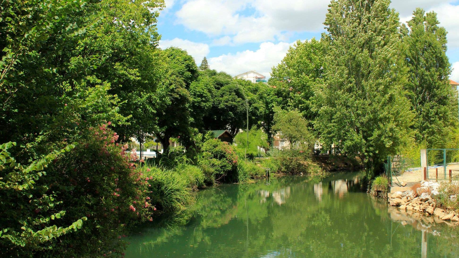 Rio Almonda @CM Torres Novas