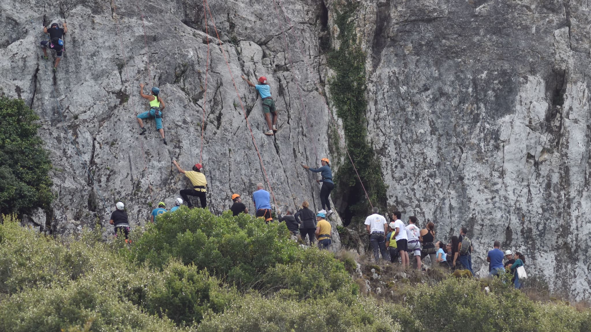 Atividades de aniversário da paisagem protegida da serra de Montejunto @CMC