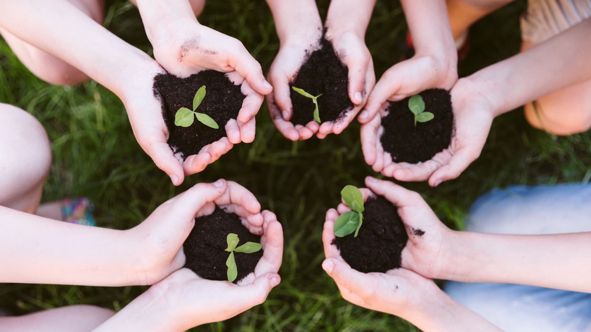 Educação Ambiental @Freepik