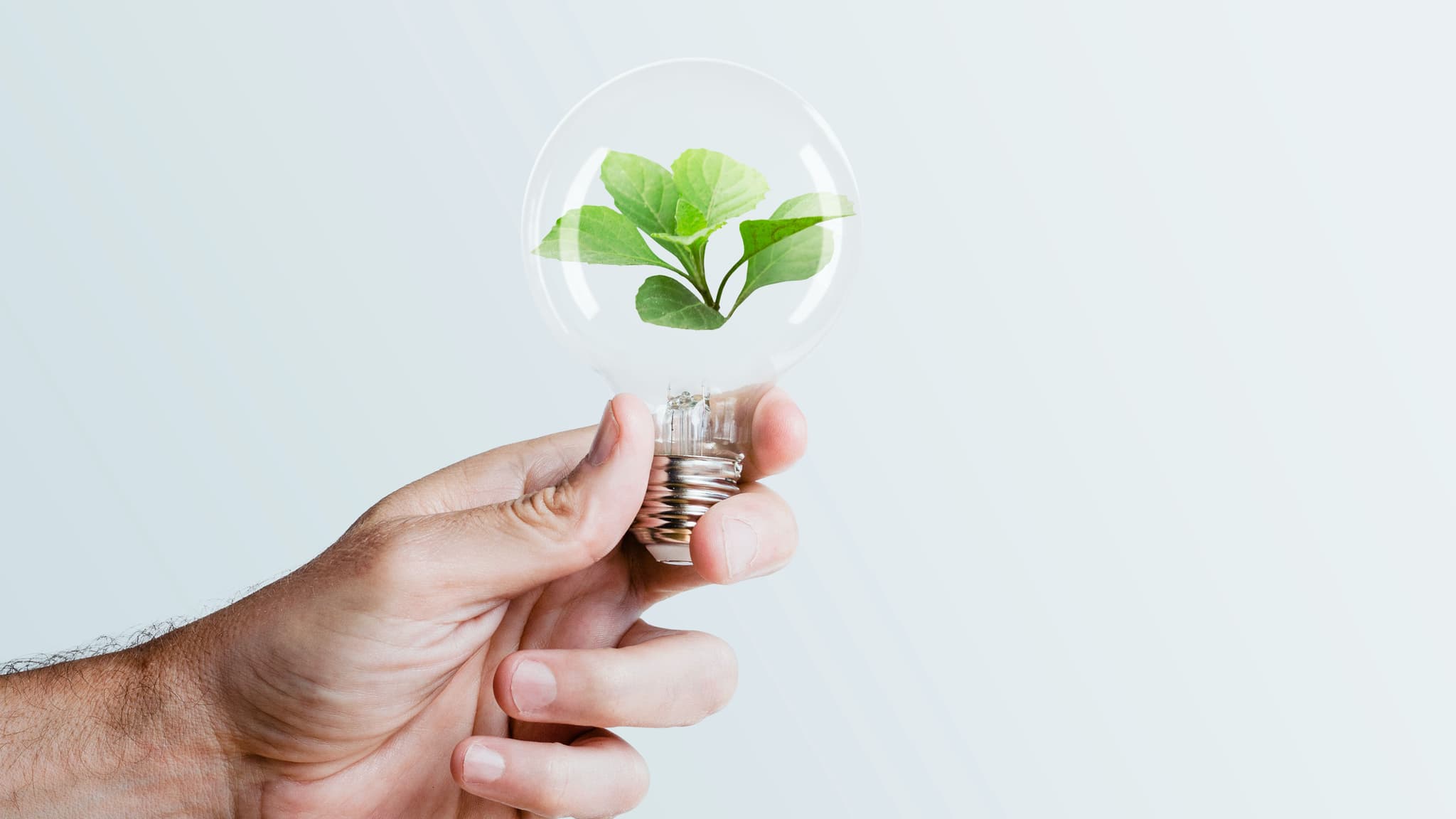 Transição energética sustentável @rawpixel 