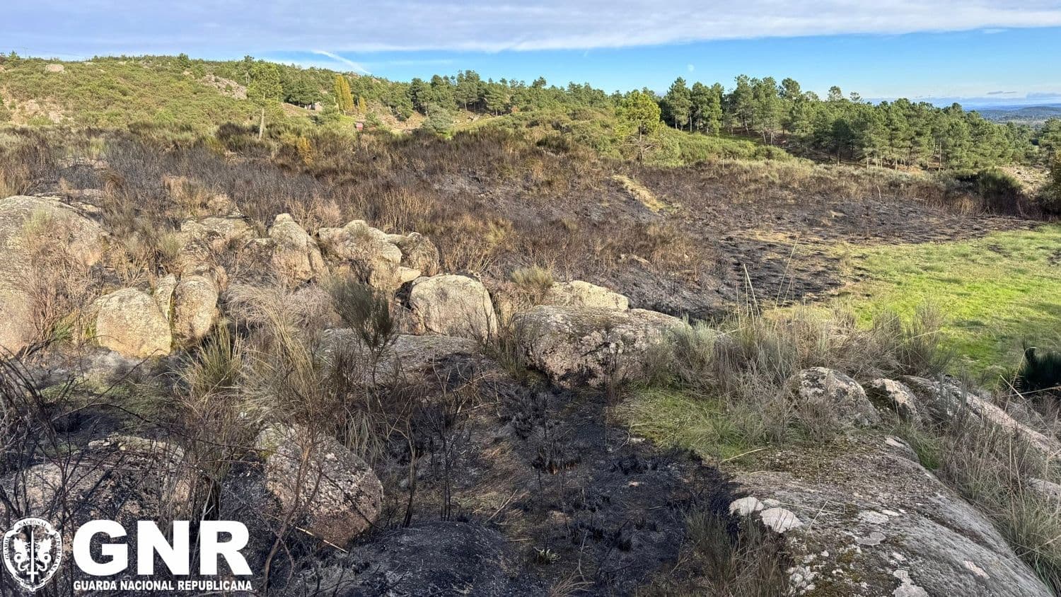 Terreno ardido incêndio Trancoso ©GNR