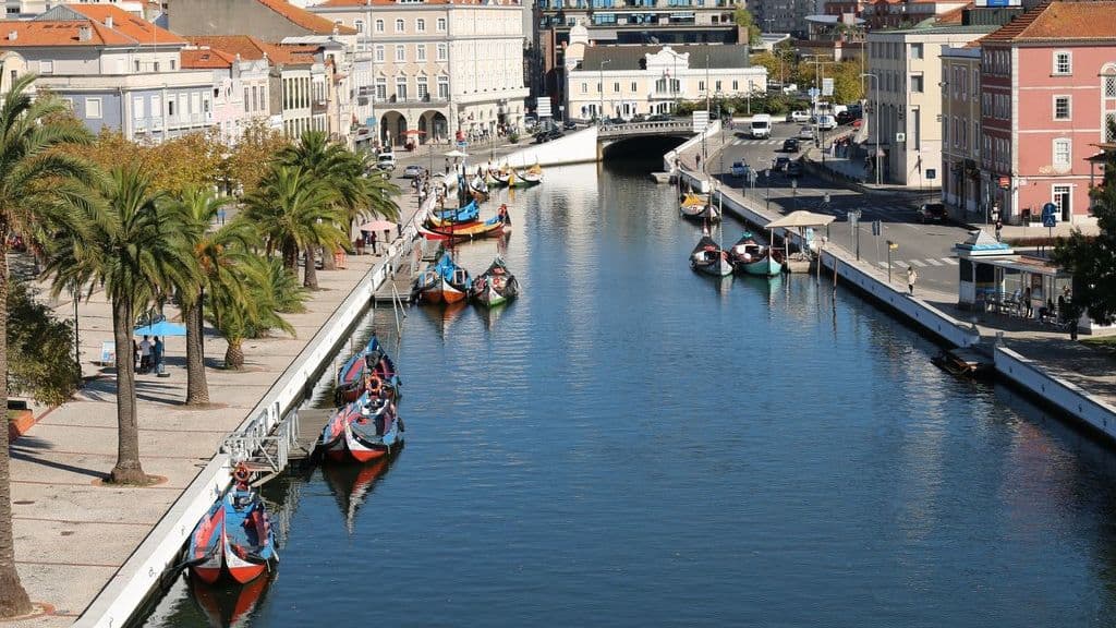 Canais urbanos da ria de Aveiro @CM Aveiro