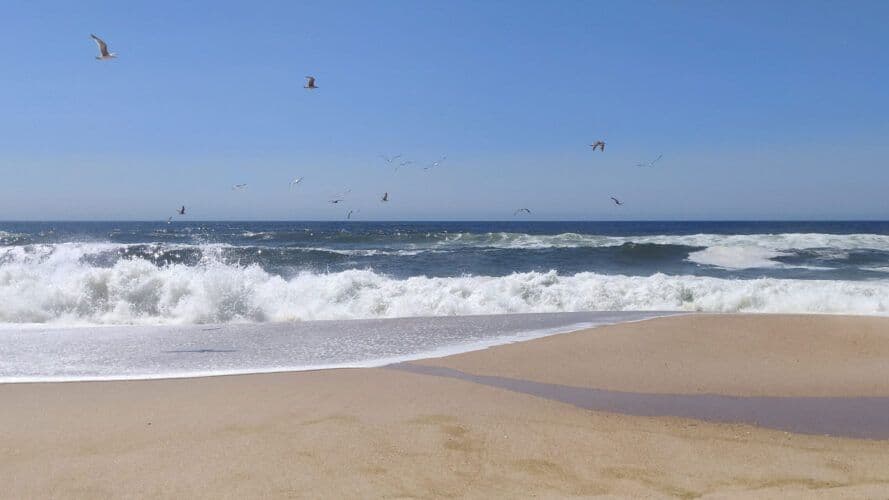 Praia do Pedrógão - Leiria ©Visite Leiria CML
