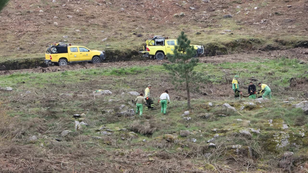 Reflorestação na Serra do Ladário ©CMOF
