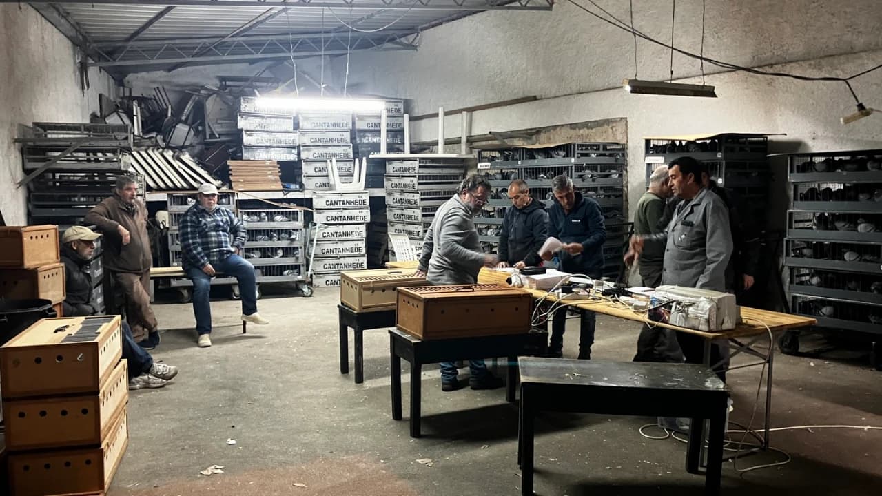 Secção de columbofilia da ASSSCC @ASSSCC