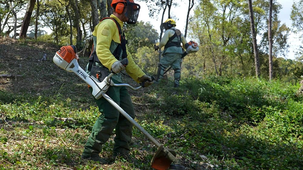 Desbaste Florestal ©CMVR