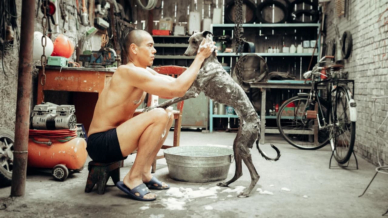 "Cão Preto", de Guan Hu @DR