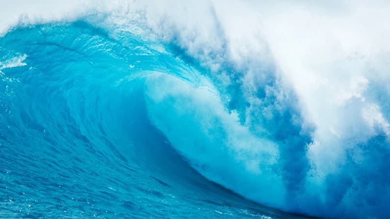 Oceano @Quincy Dein 
