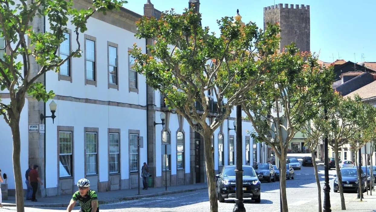 Câmara Municipal de Lamego @CM Lamego