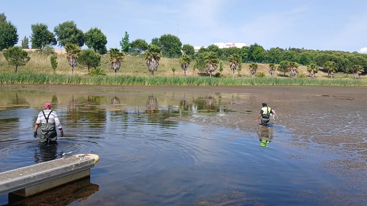 Lagoa ©CMCB