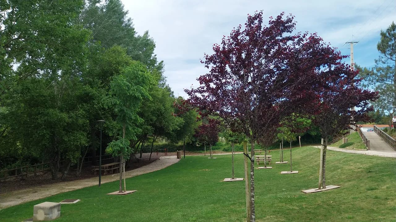 Arvoredo em meio urbano @CM Vila de Rei 