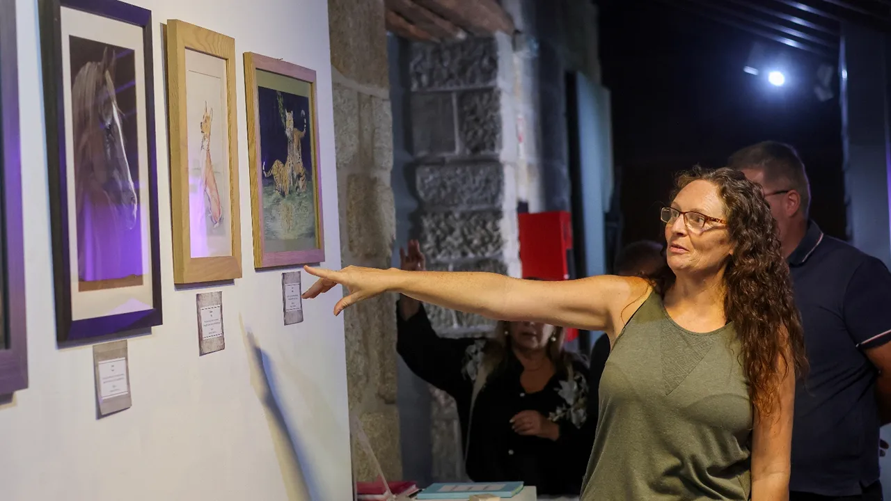 Exposição de pintura: "Metamorfose" @CM Oliveira de Frades 