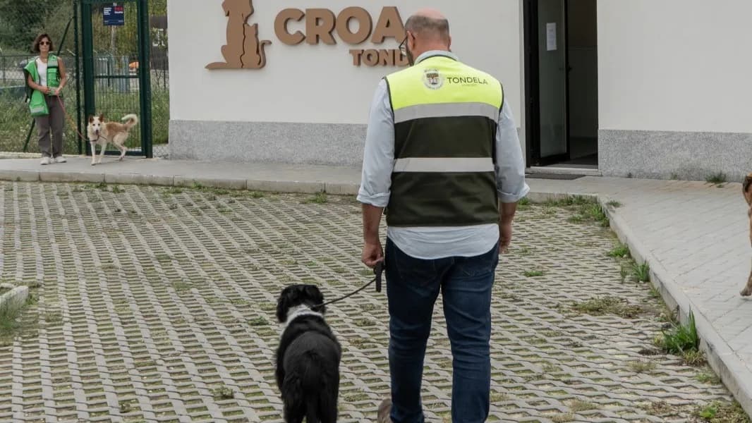 Animais de estimação - CROA @CM Tondela