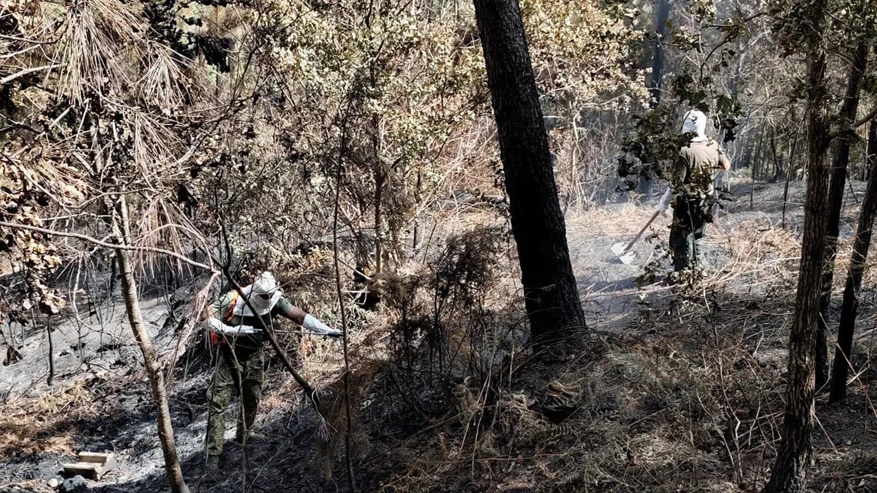 Militares da marinha no combate aos incêndios ©Marinha