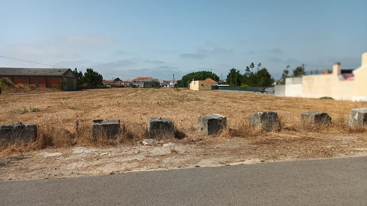 Gestão de vegetação @CM Ílhavo