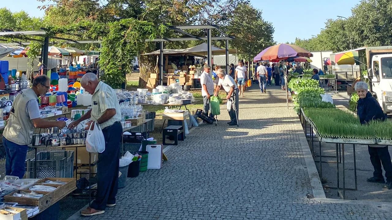 Feira Semanal @CM Tondela