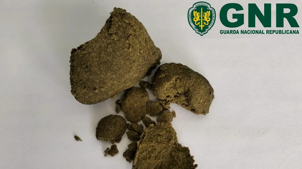 Apreensão de droga emParedes ©GNR