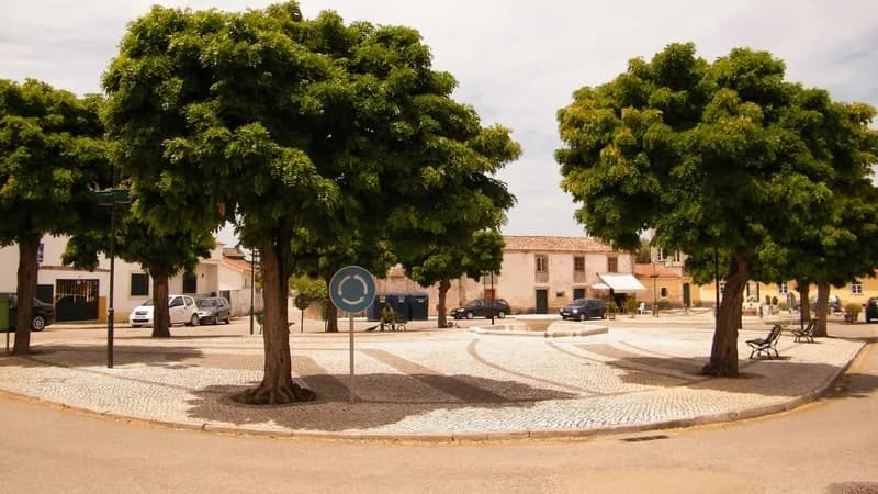 Ribeira de Frades ©UF São Martinho do Bispo Ribeira de Frades