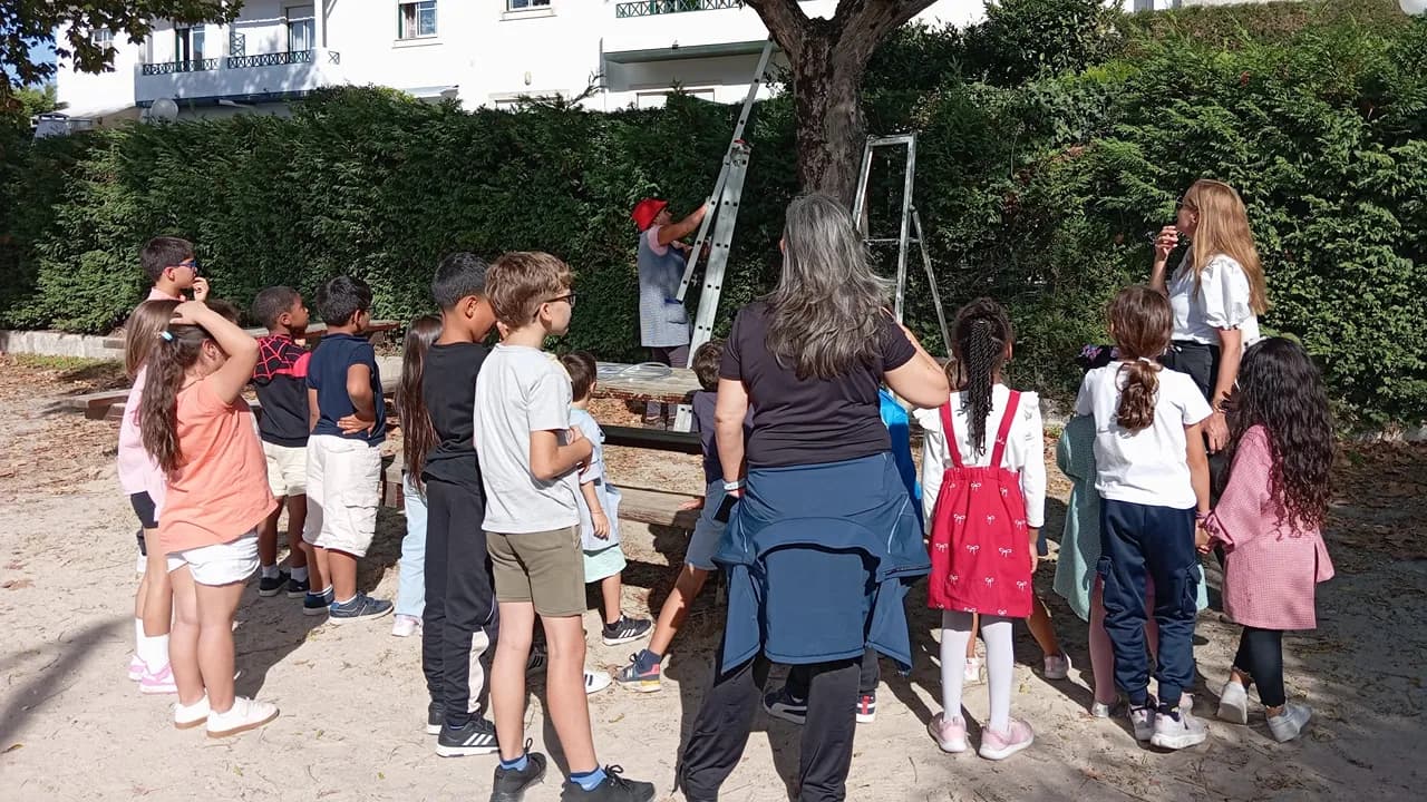 Sensibilização sobre biodiversidade @CM Marinha Grande 