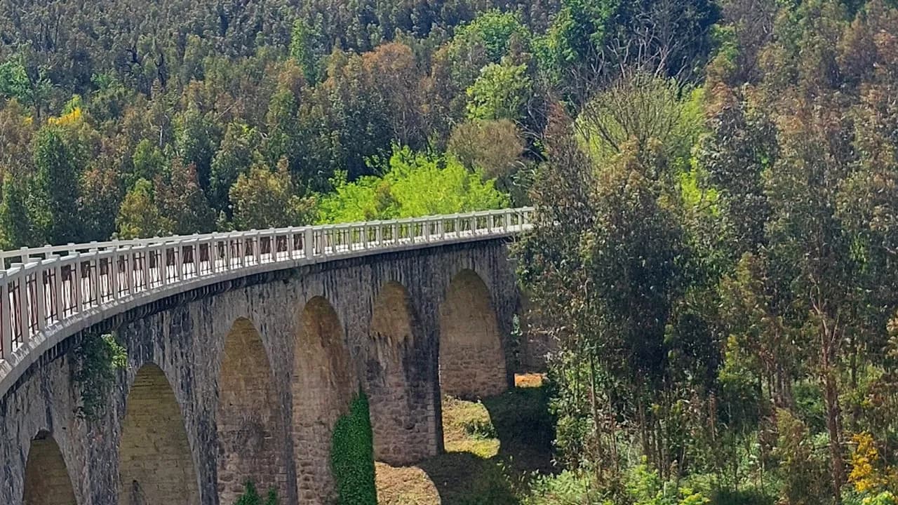 Caminhada na Ecopista do Vouga @CM Oliveira de Frades