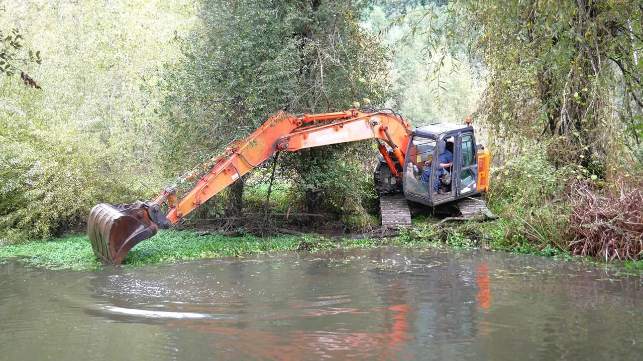 Projeto de reabilitação do Rio Cértima @CM Águeda