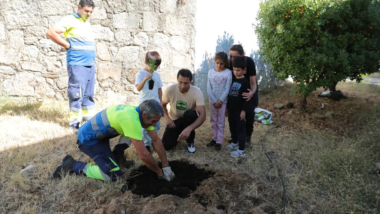 Plantação de árvores @CM Penamacor 