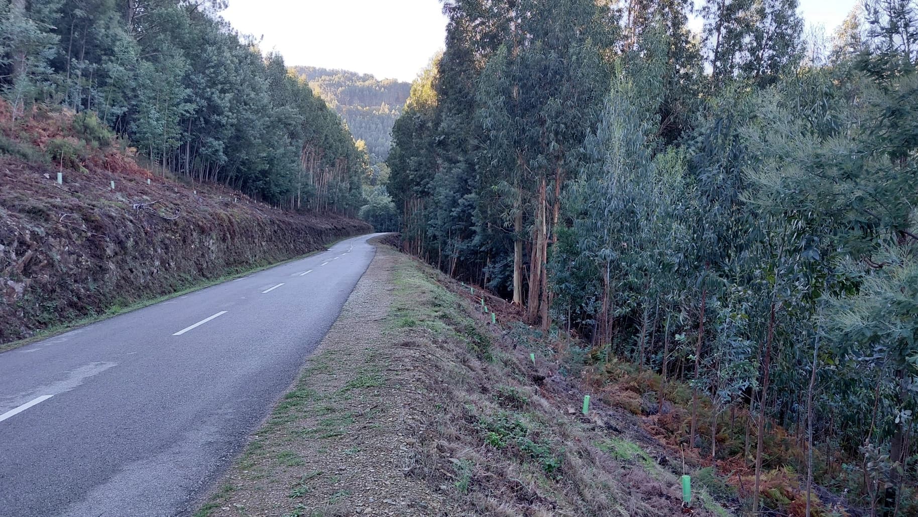 Serra da Lousã @CM Góis 