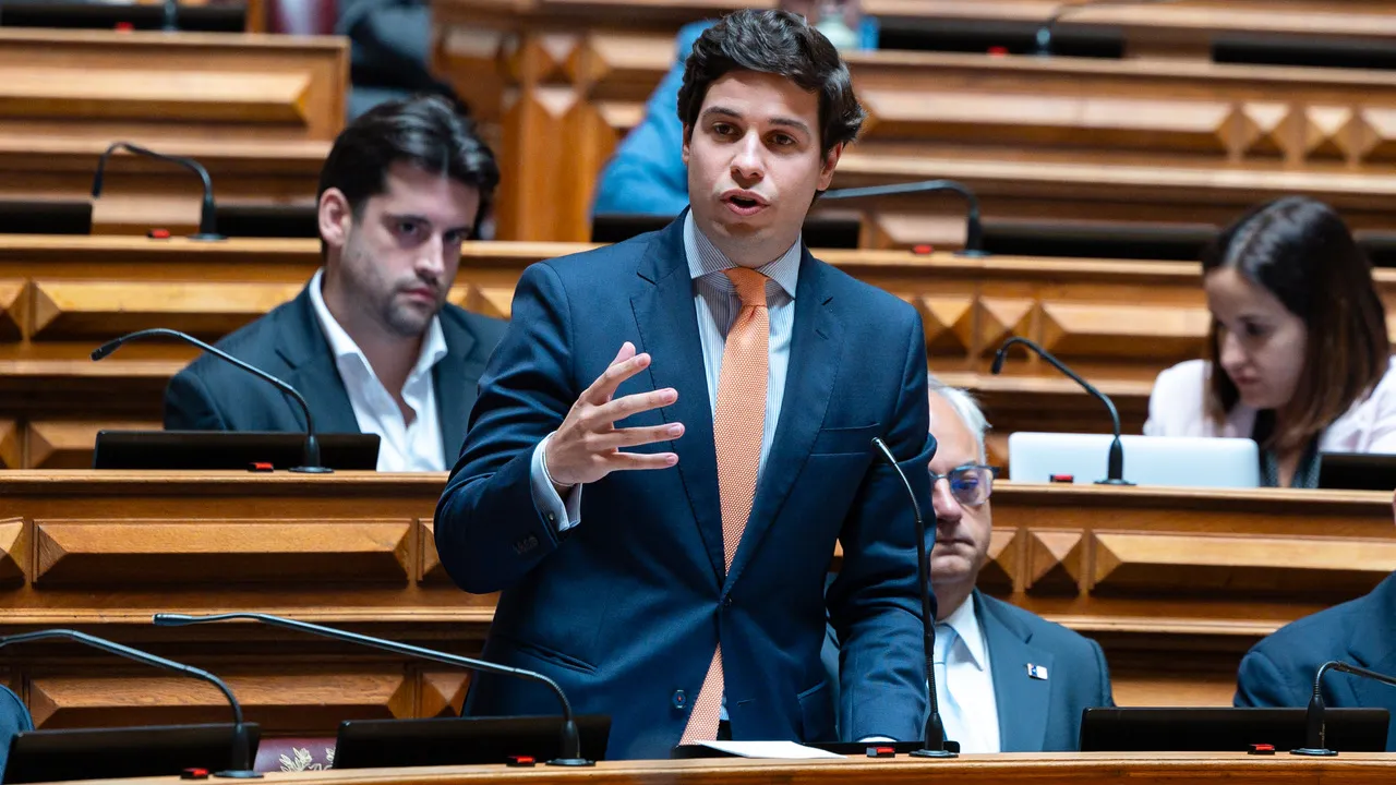 Martim Arnaut Syder @PSD