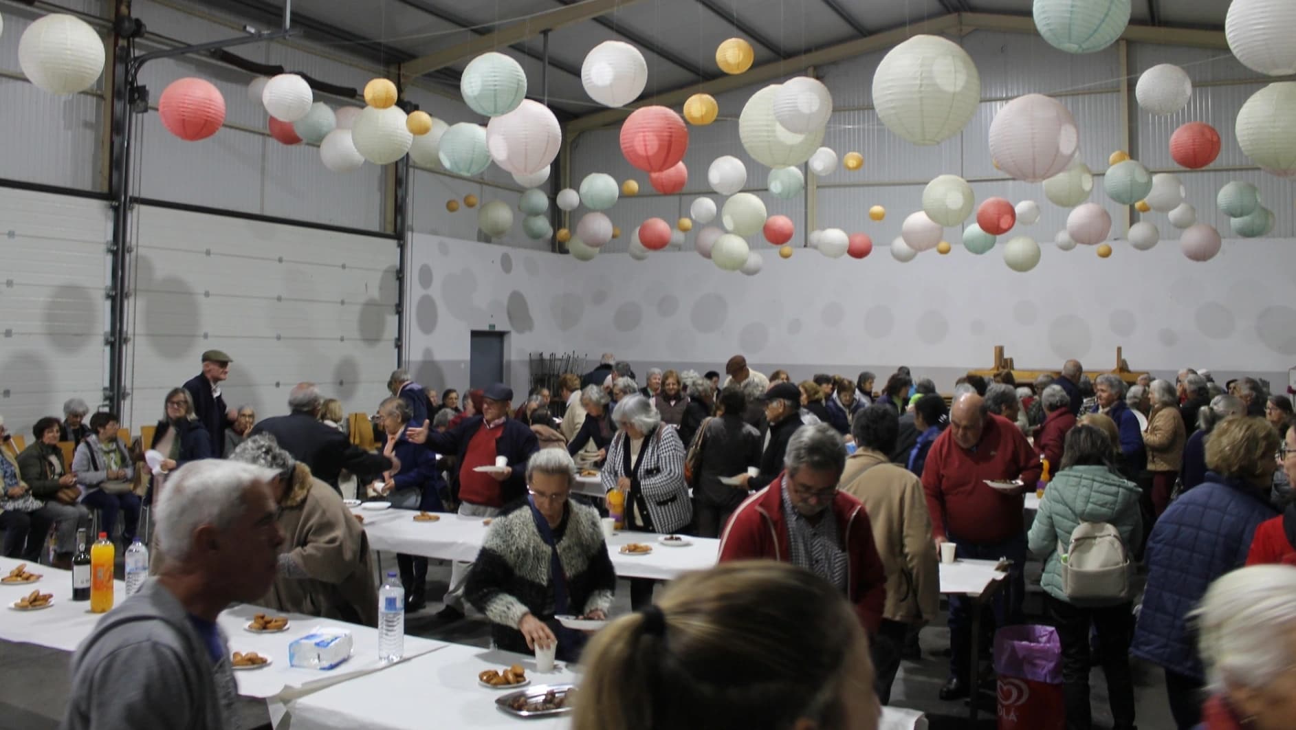 Magusto em Chão de Codes @CM Mação 