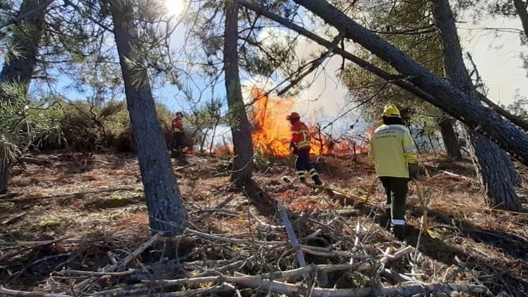 Segurança das queimas e queimadas @CM Lamego 