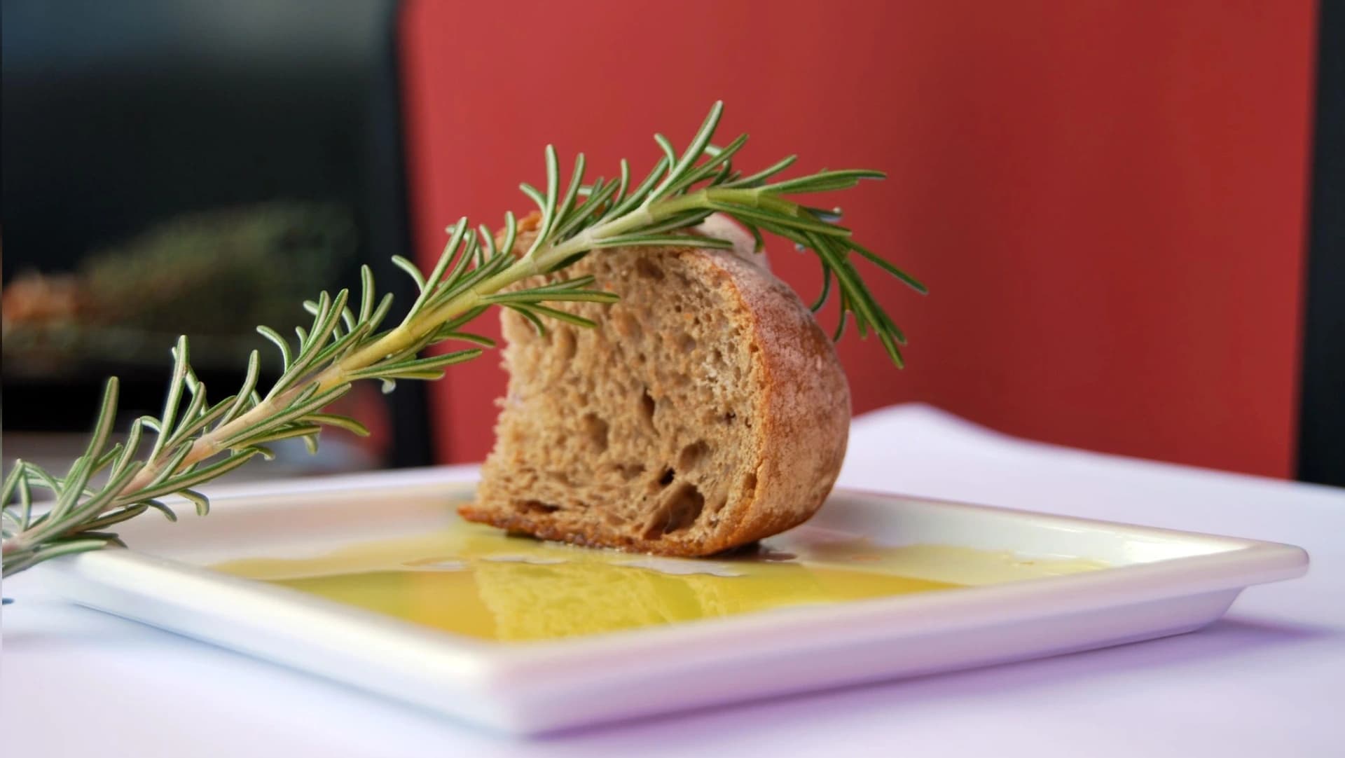 Tibórnia @CM Fundão 