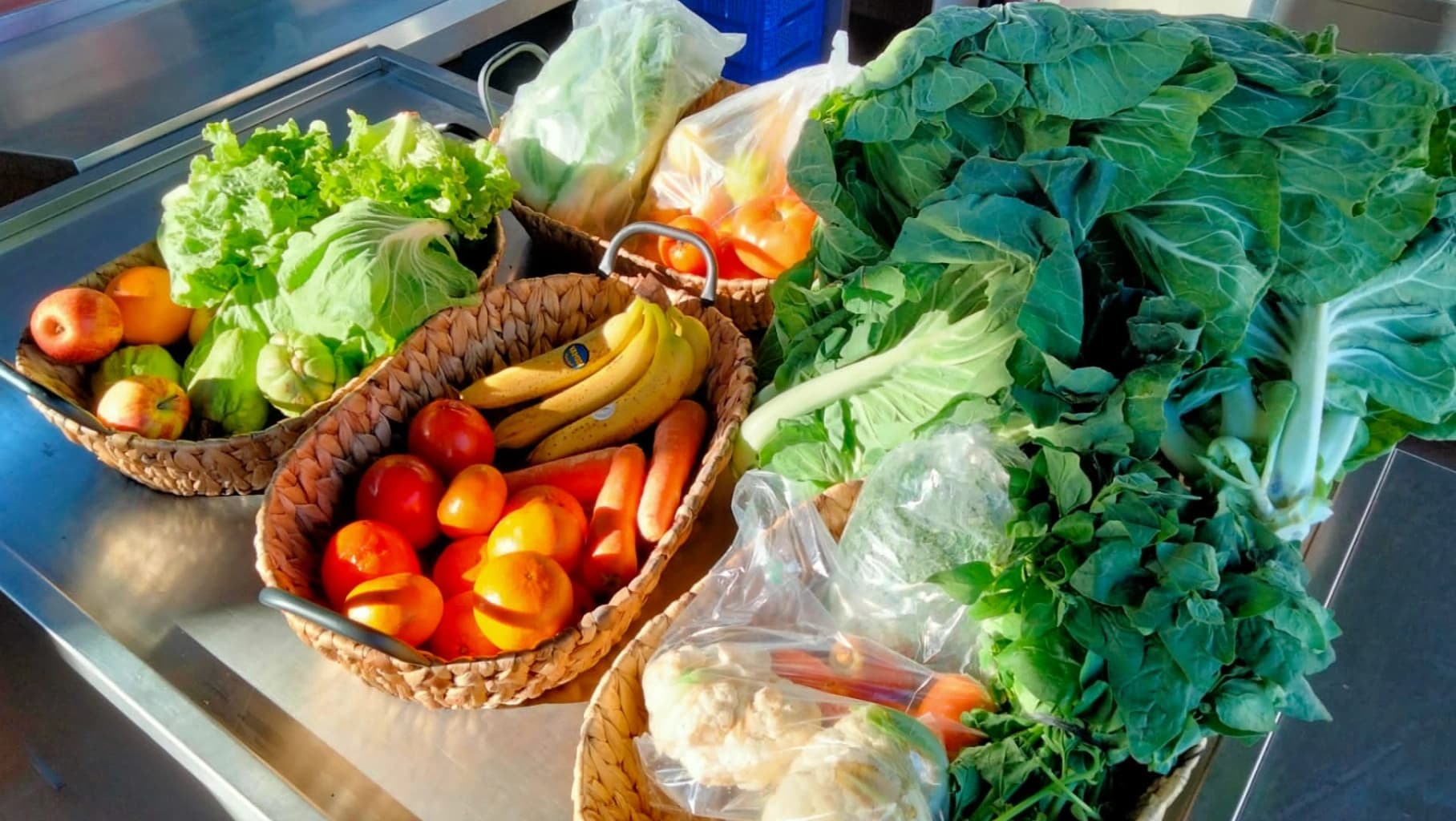 Imagem ilustrativa da campanha @CM Albergaria-a-Velha 