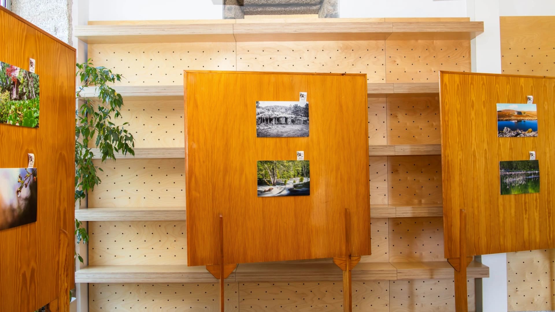 Exposição "Descobrir São Pedro do Sul" @CM Oliveira de Frades 