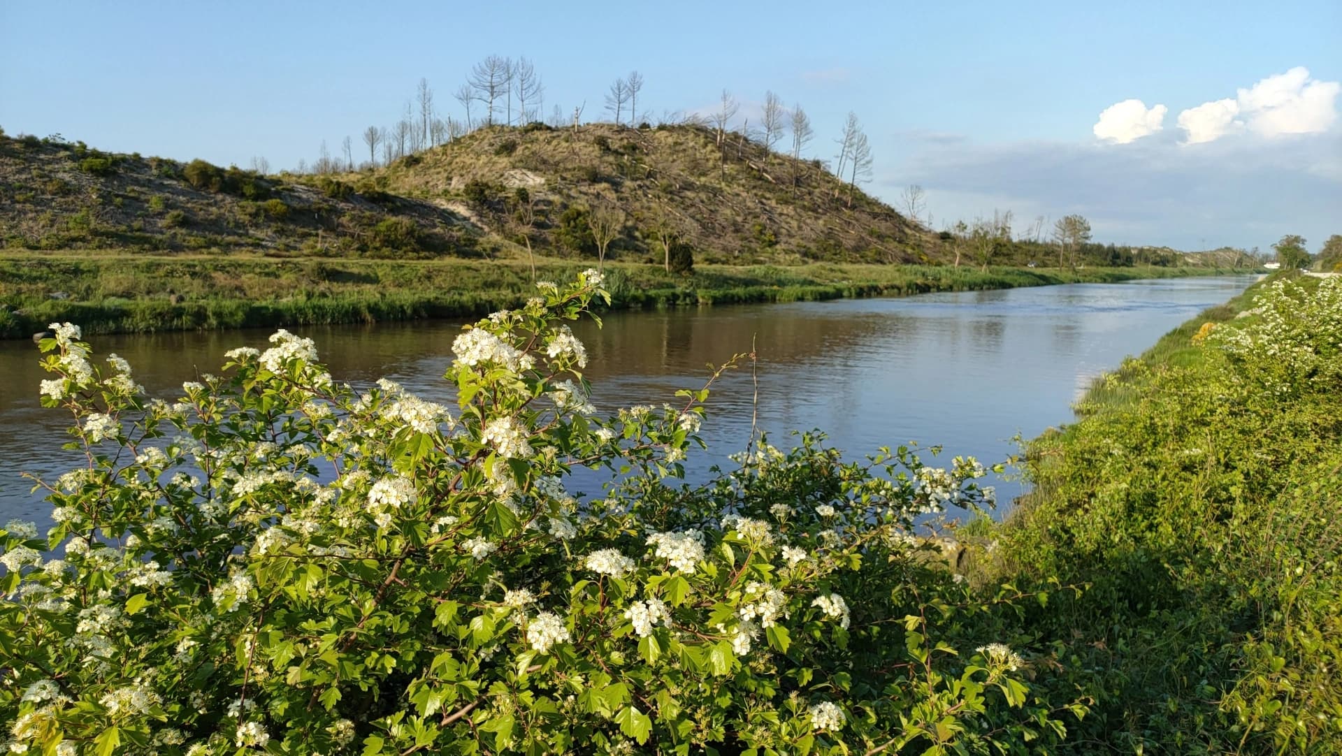 Rio Lis @CM Marinha Grande 