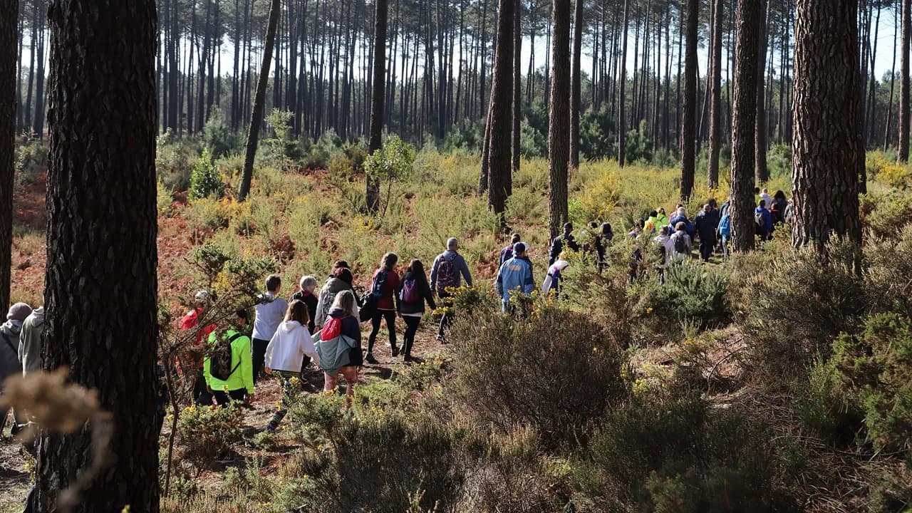 Passeio pedestre @CM Marinha Grande