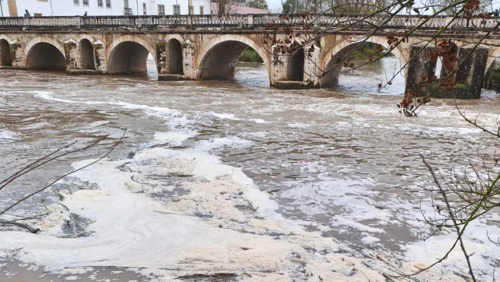 Poluição no Rio Nabão @CM Tomar