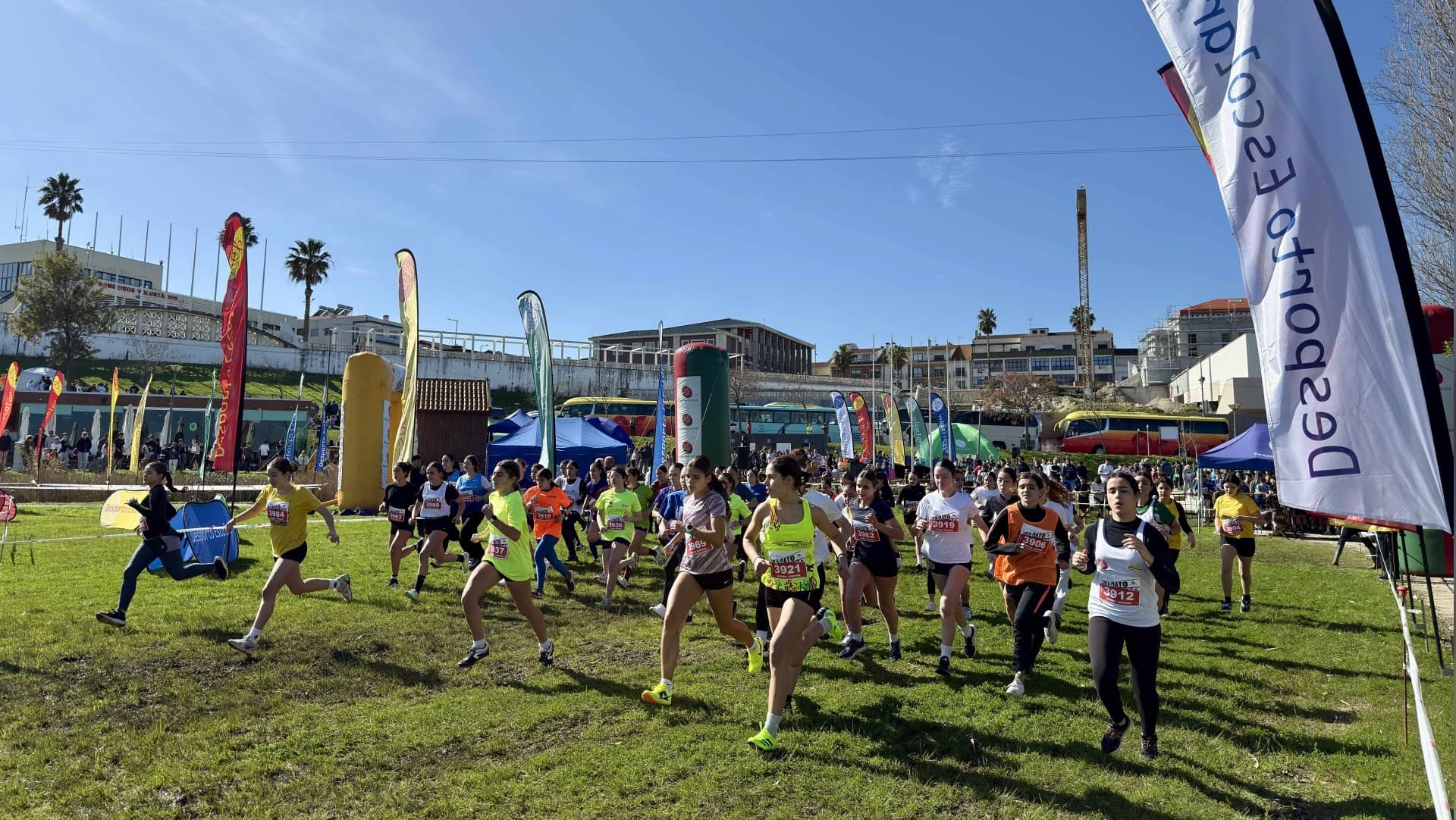 Corta Mato Escolar @CM Vagos 