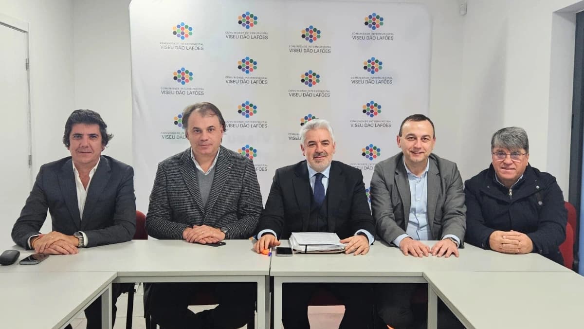 Comunidade Intermunicipal de Viseu Dão-Lafões @CIM VDL