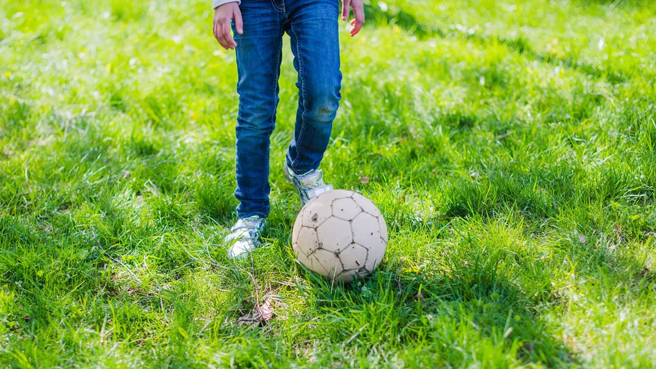 Imagem ilustrativa @freepik 