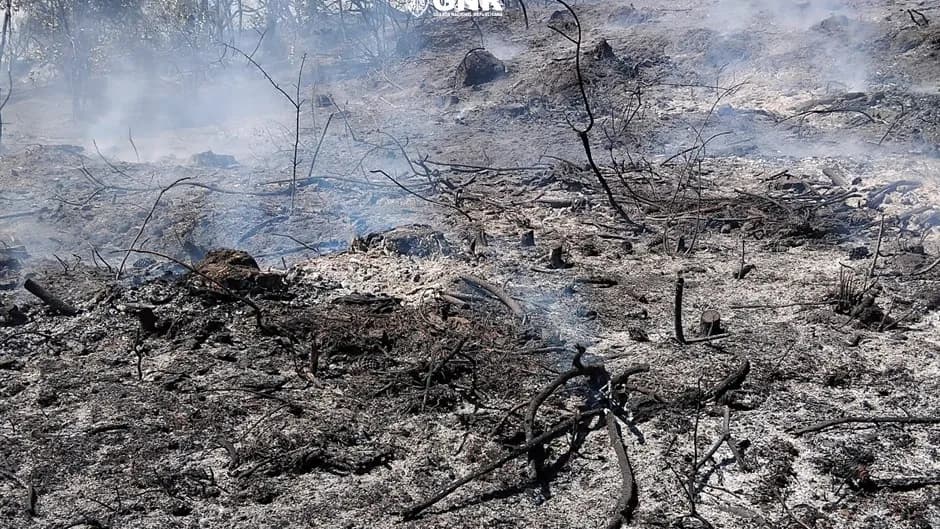 Incêndio florestal @GNR Viseu 