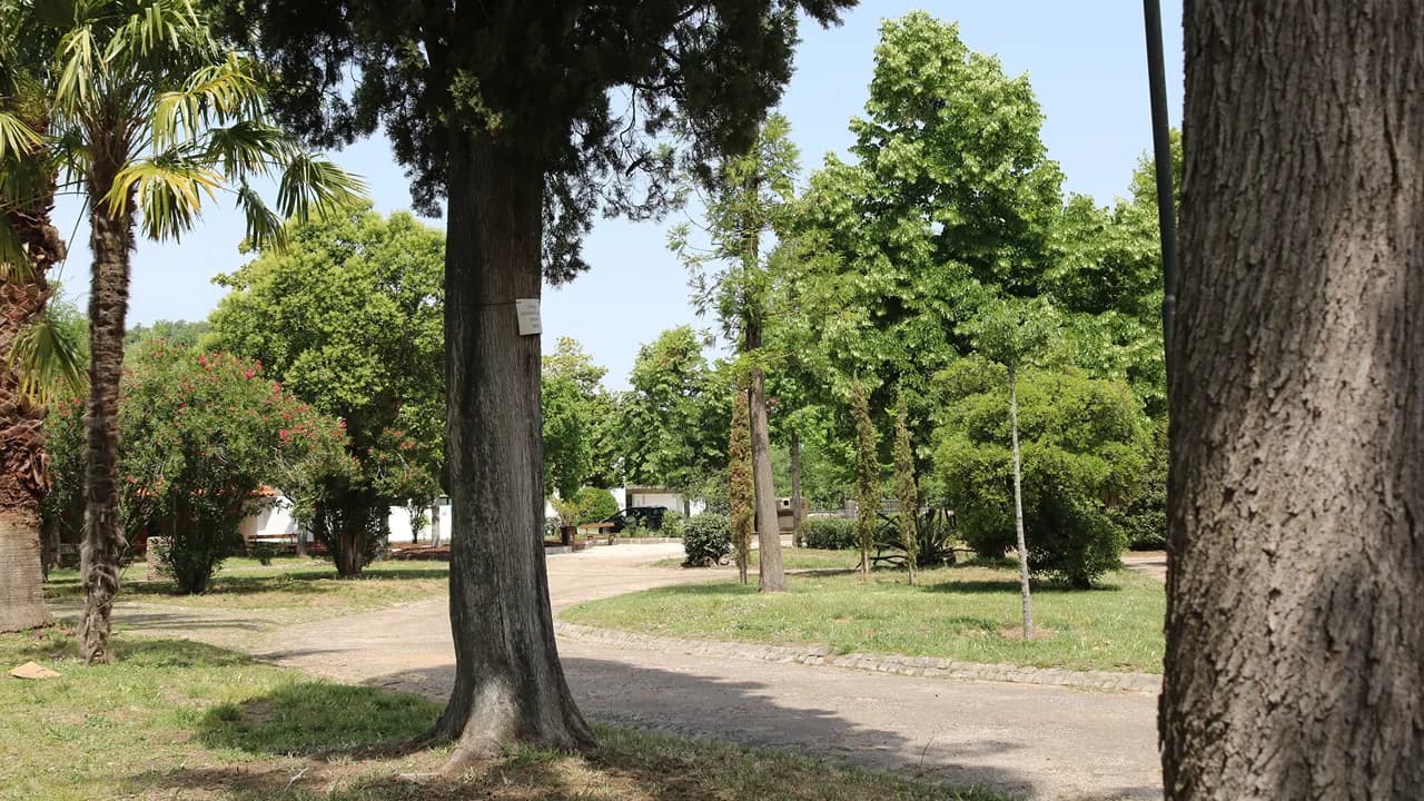 Parque Urbano @CM Tomar 