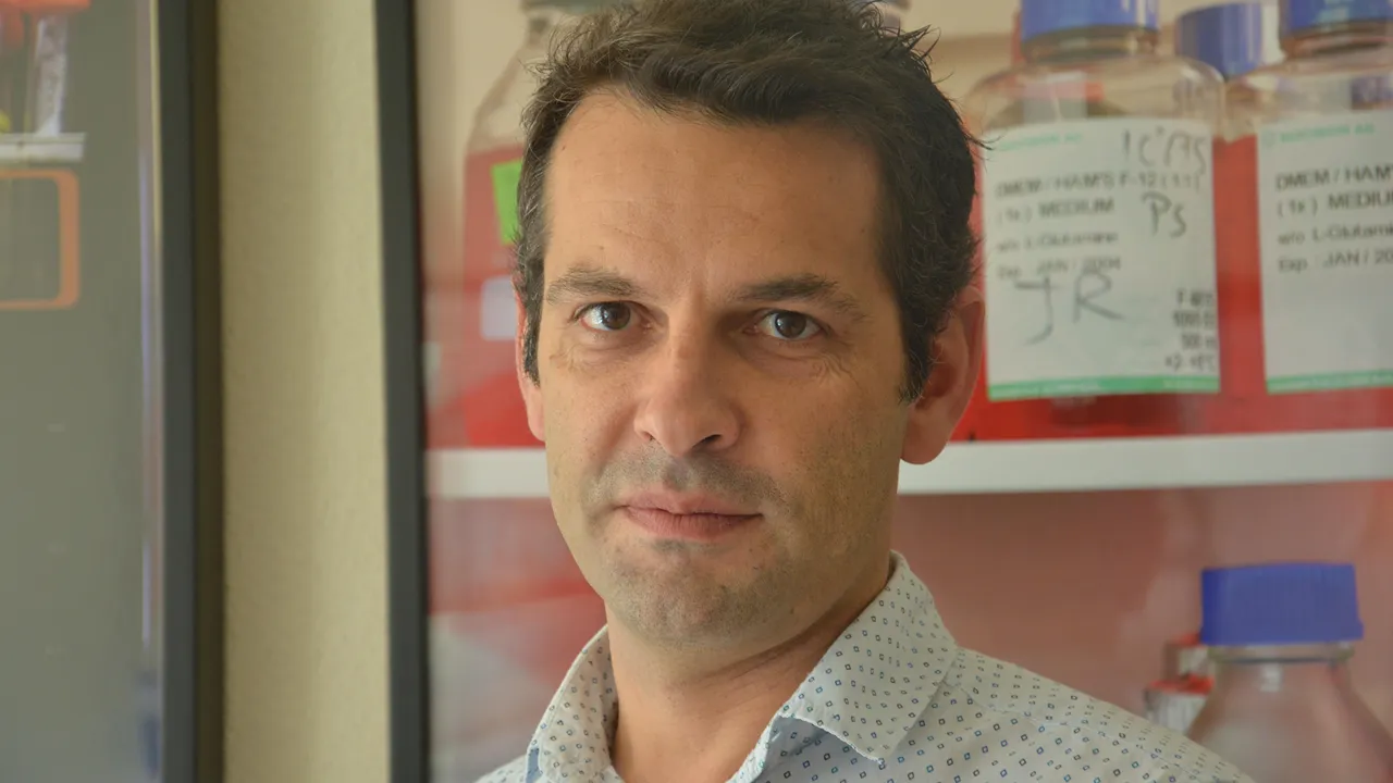 Henrique Girão @UC / DR